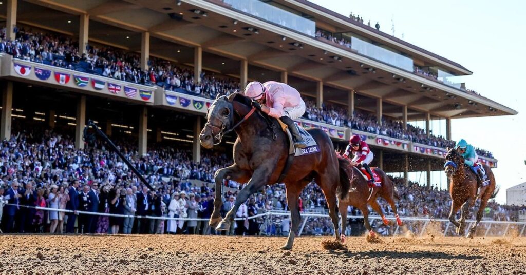 breeders' cup
