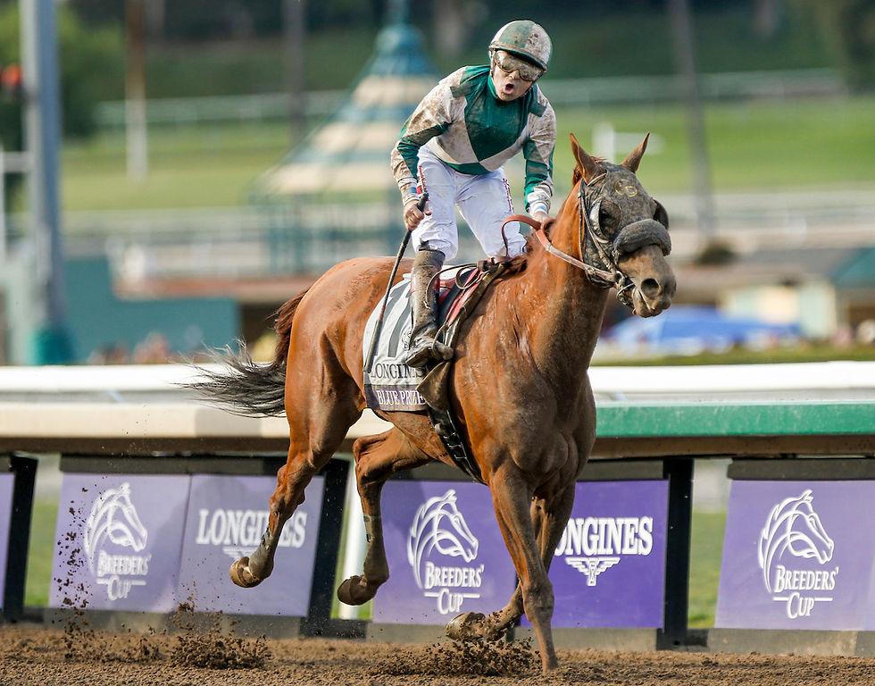 breeders' cup 3