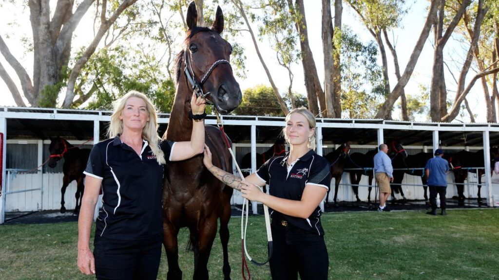 The People Who Keep Western Australian Racing Running c8r2y0kune5wxmqbn2usvdsjaxsmnhjoqygnyjsm3ej r9mrijknwzq0lxngsoacc9nif ubvhfn4d15q oaun6p2ksiyp6m0bkb0stsiio9f5hcfw7dpdthl uzv5le6ggzg59duaxlgcdafmqkhlhsg6hjblt8bfngbekshjzy9senhfmzwz8wegylkdbi